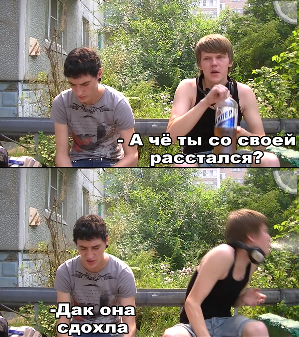 ����� ������� ��������� "������ ��������� � ��������?"