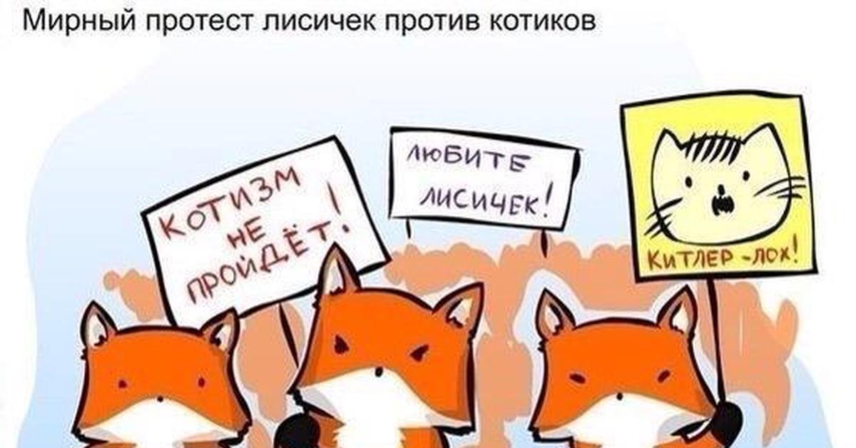 Хочешь оденусь лисичкой. Коты протестуют против лисичек. Я лиса. Я лиса я хочу. Хочу лису.