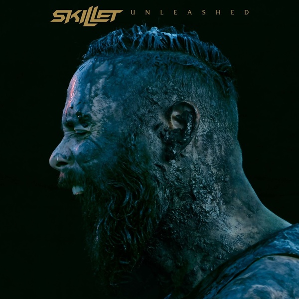      Skillet-Feel Invincible   . , ,  ,  , Music, Skillet, , 