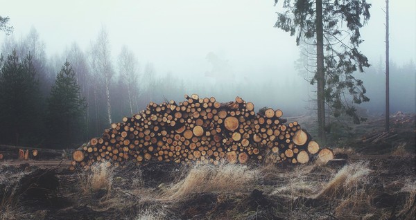 �������� �� ���� ������� �� ������ � �� �����..