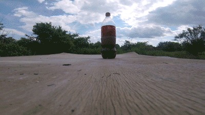  Coca-Cola  