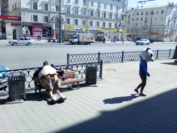 Раздвоение панды. - Панда, Голова убежала, Промоутеры, Кунг-Фу, Кунг-Фу Панда