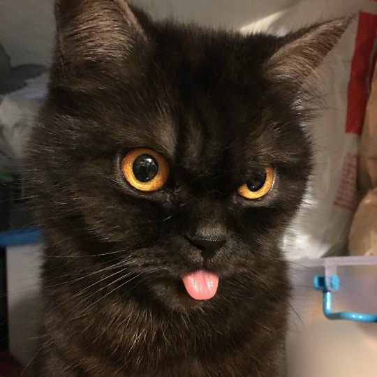 ����� ��� ������� ��� � ������ ���-�� �������