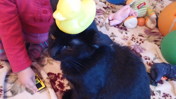 ����� ������ � ������)