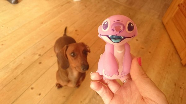 Бедный Стич