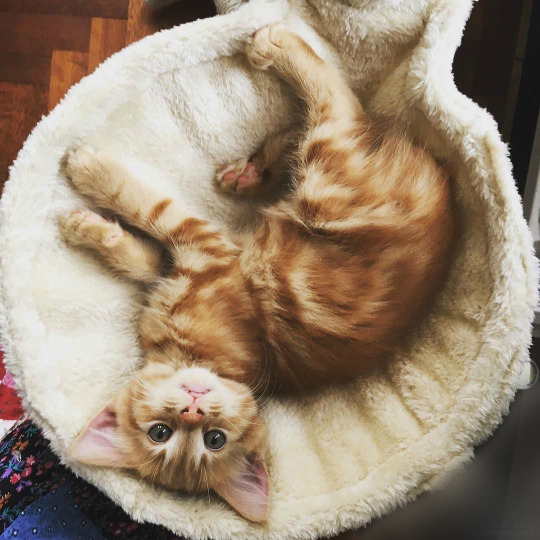 �������)