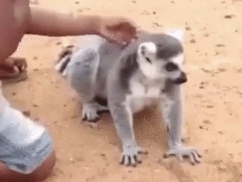 !   ?