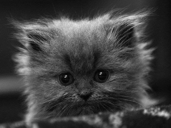 Прямоугольненько.