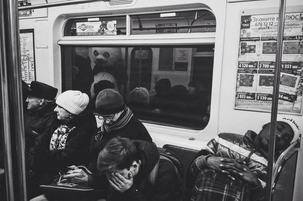 Когда узнал, что твой отец - гусь