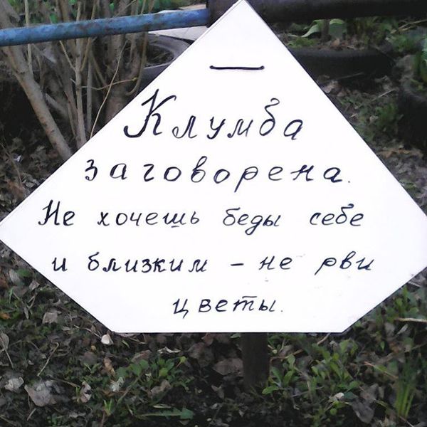 �������� ������