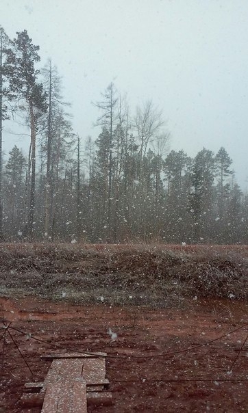 ������ � ����-�������