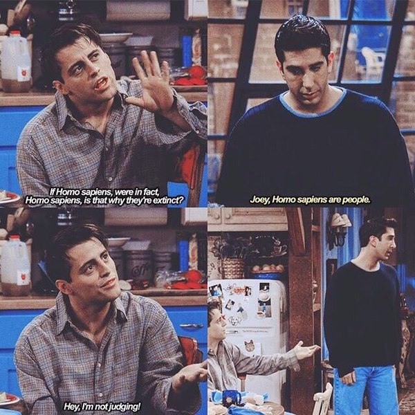 ���� �������