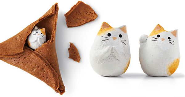 ������...