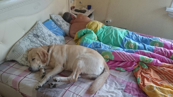 ���� ��������������