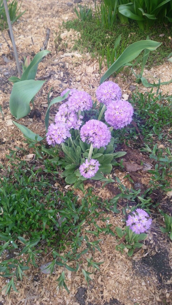 ׸ �� �����?