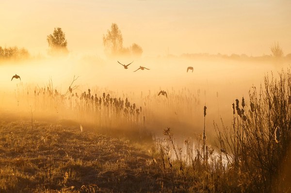 Псковская область