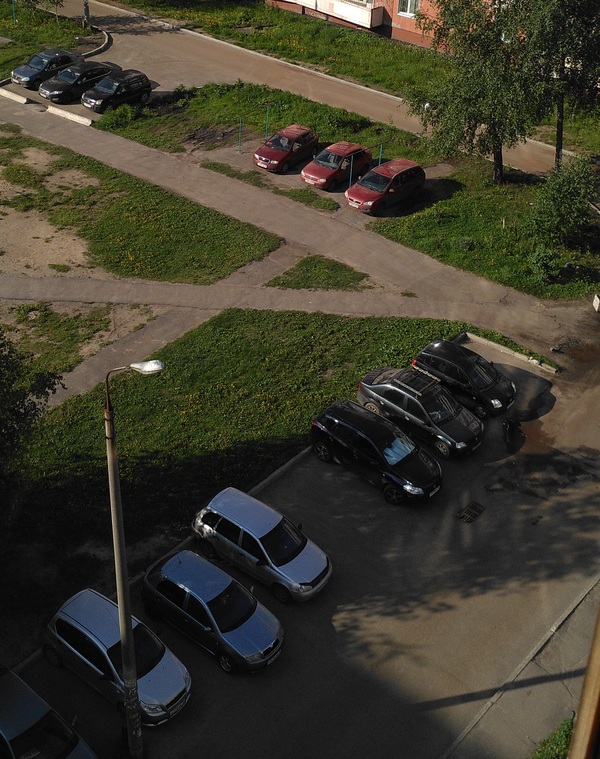 Кажется, они что-то задумали...