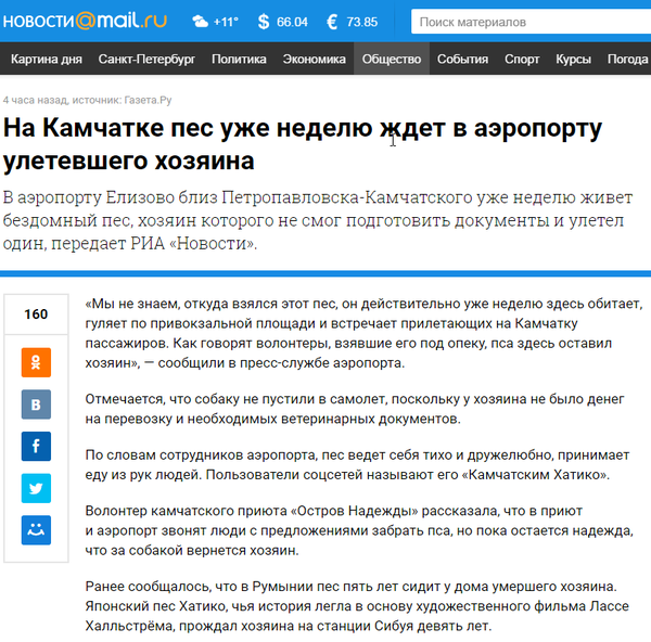 В аэропорту Камчатки появился свой пес Хатико..