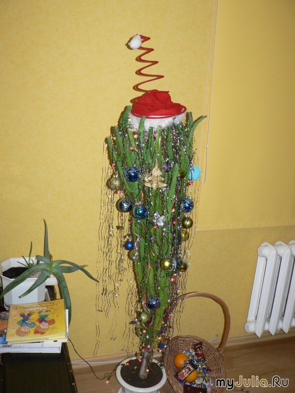 Самый лучший день.