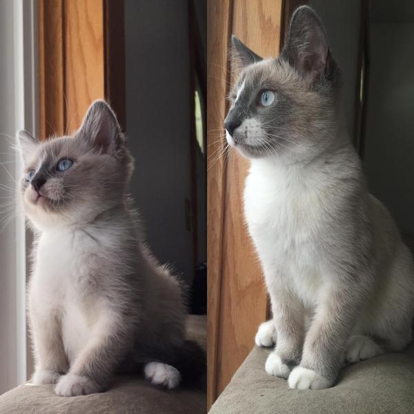 Пол года спустя возмужал..