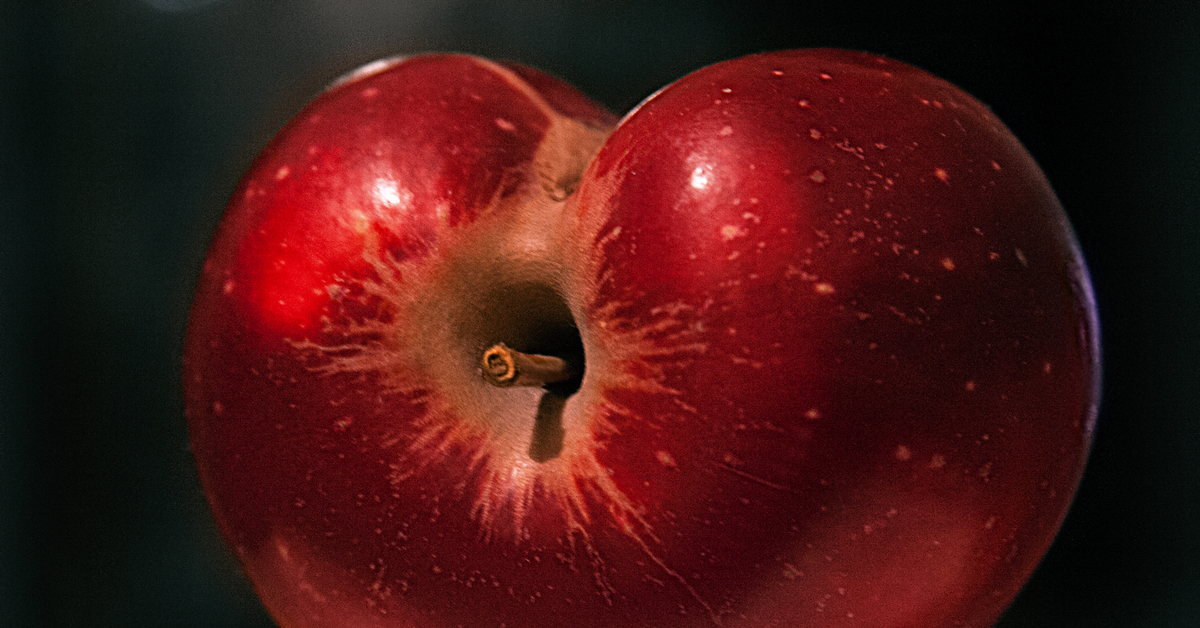 Глупое яблоко. Яблоня ред Кримсон. Сорт яблок Гызыл Ахмед. Необыкновенные яблоки. Красивое красное яблоко.