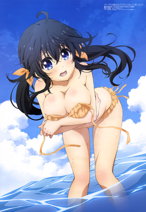 Ako_art Netoge no Yome, Tamaki ako, Anime Art, 