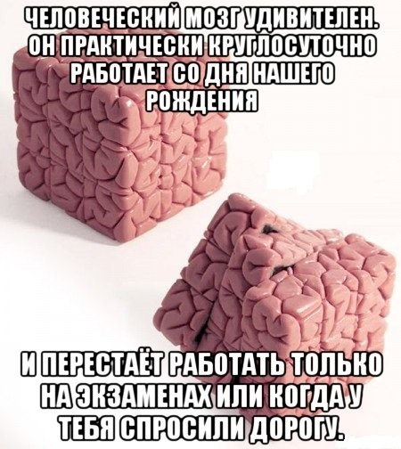 Удивительный мозг.