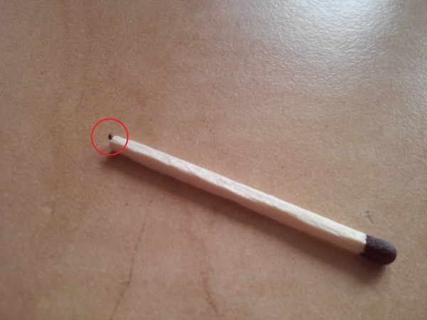 1464594117185545705 жучки на телефоне ползают