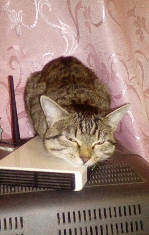 ���������