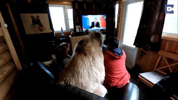 ���������� ����� �������� � ��������� ��������� �������