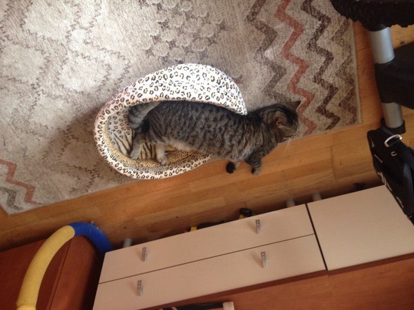 ��� ���� �������������� ����,��� ���� ����� ��������� ����� ���������� ���������.