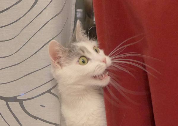 ����� ����� ��������� �� ��������