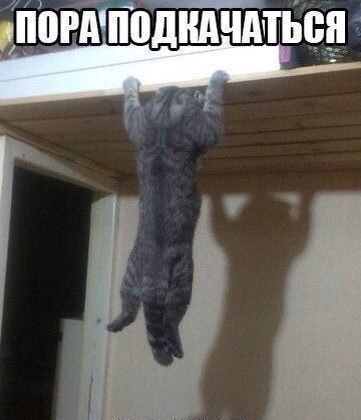 � �� � ���� ������������?