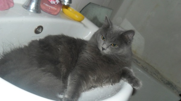 ��� ���, ��� ���� ��� � ����!