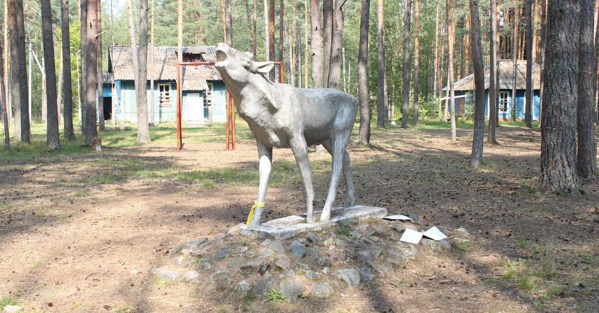 Лагерь кудрявцево кольчугинский район фото