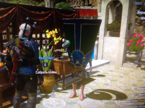 � ���� �� � �������?