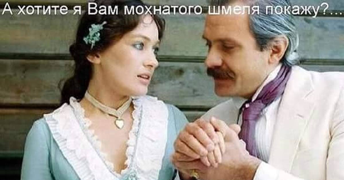 Мохнатый шмель | Пикабу