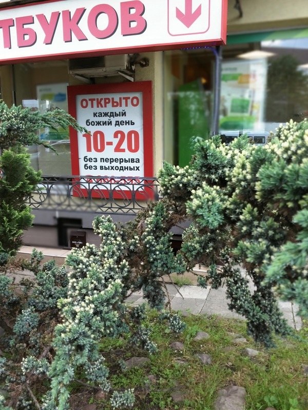 ����-�� ����� "��������" ������