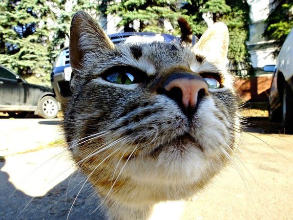 ������...