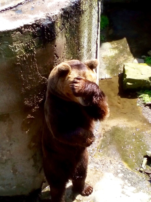 � ��������������� �������� ���� �������� ���� � ������