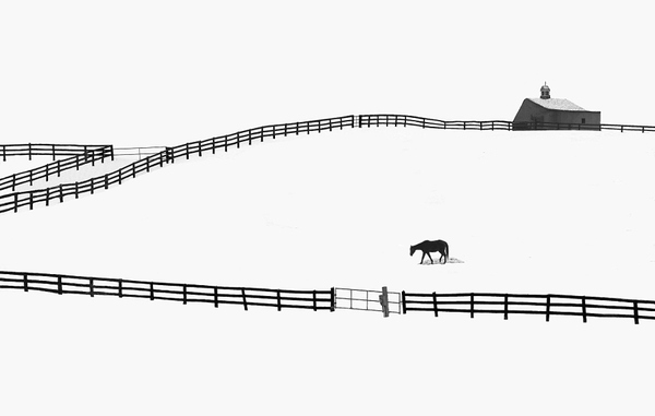 Мастер монохрома