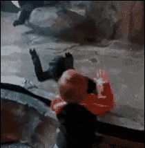Воспитание
