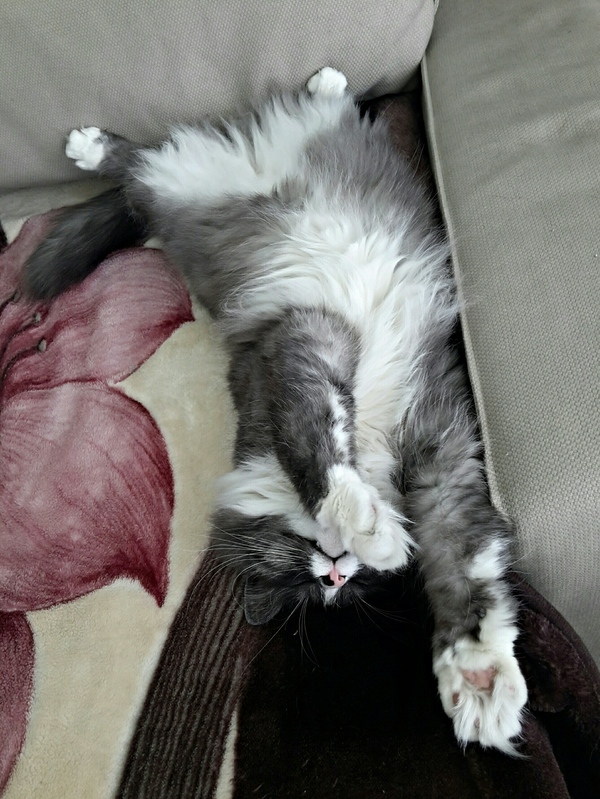 Когда вечер пятницы начался чуть пораньше