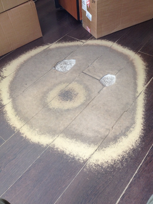 ���� � ����� �� ��������� �� ������ ������ ��������