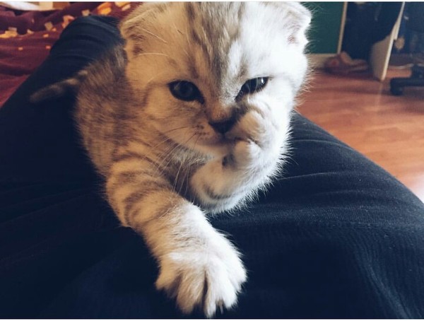 Когда долистал горячее до конца