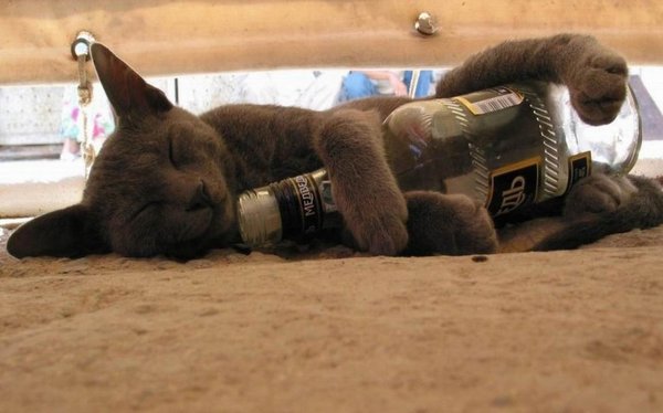 � ���������� � ����� ��� "���������"