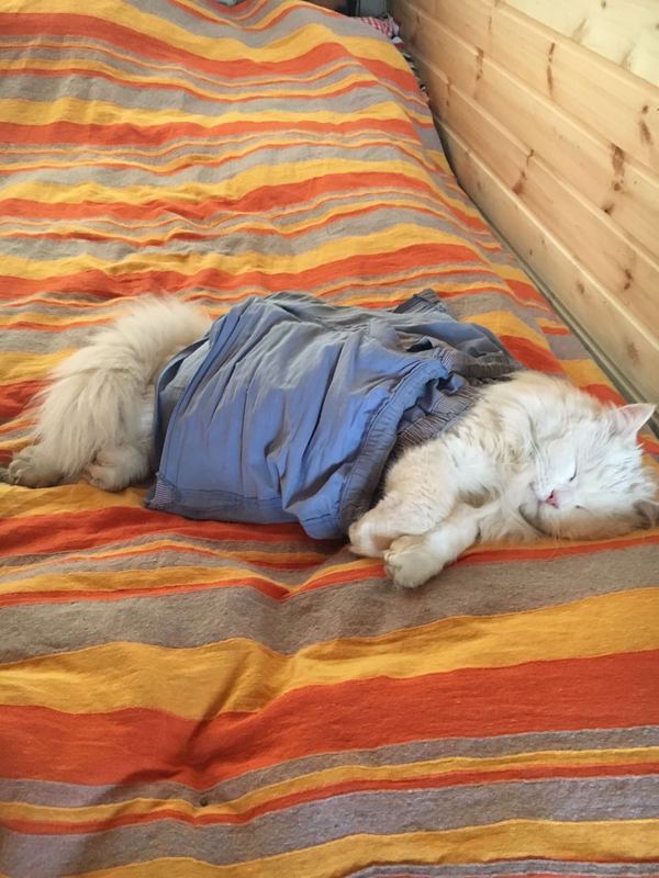 ��� � ����..��� � ������ )