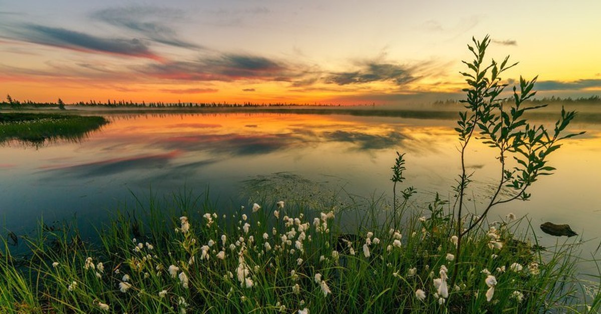 Красота родной природы. Новый Уренгой красоты природы. Надымский район природа. Природа России. Красота русской природы.