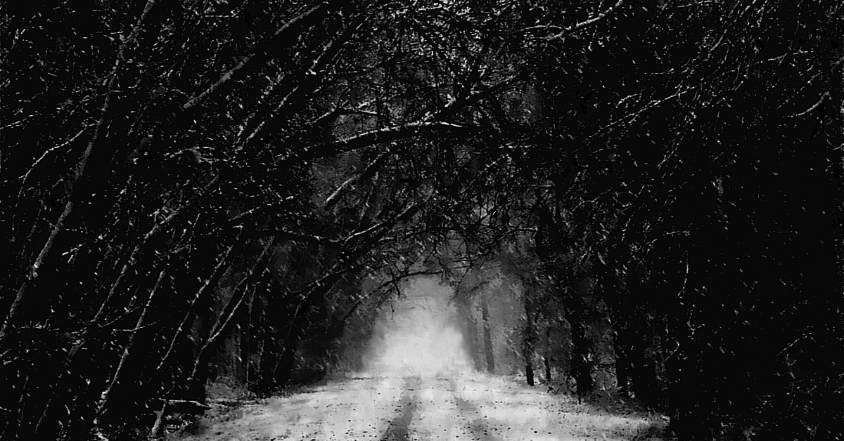 темный снежный лес. зимний лес ночью. страшный лес ночью. страшный зимний лес. джош харрисон художник.