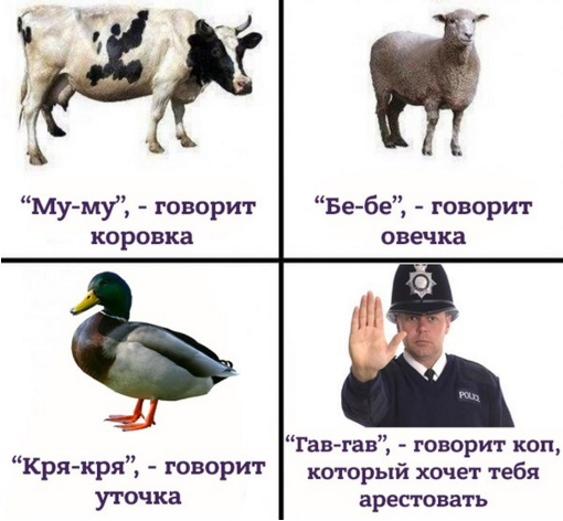 ��, ��������